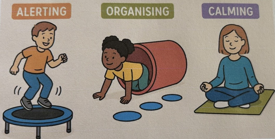 Sensory circuits image.jpg